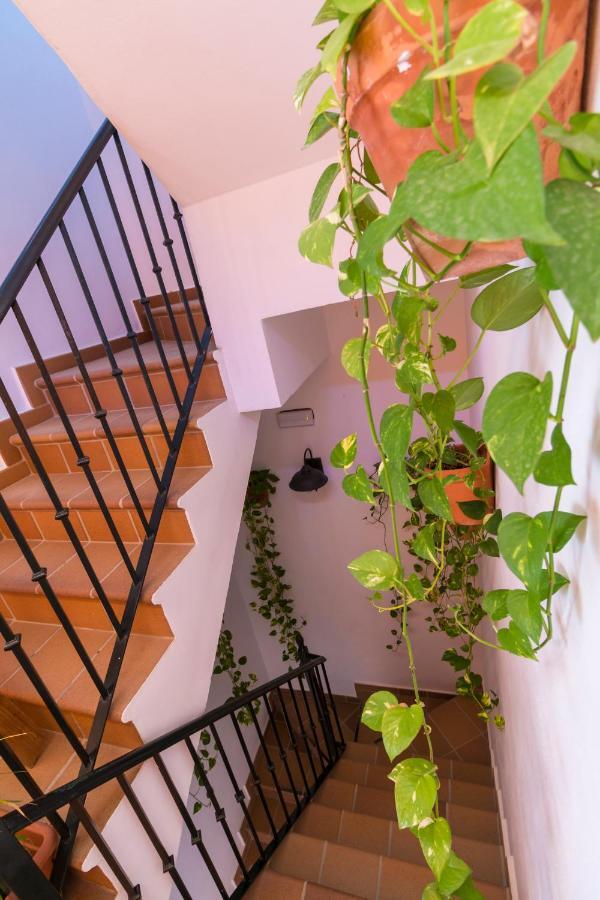 Hostal Rural La Fonda DEl Rocío Zewnętrze zdjęcie